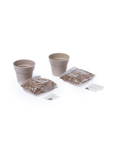 Set Macetas Nertel 2