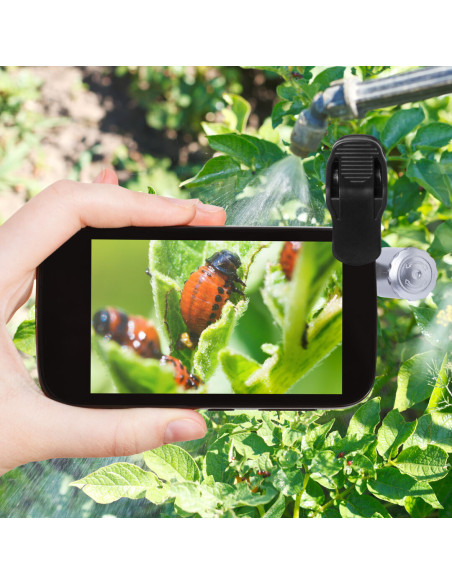 Microscopio Dicson 60X