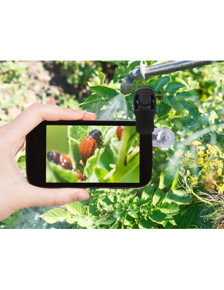 Microscopio Dicson 60X