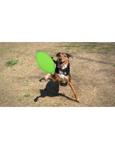 Frisbee Watson