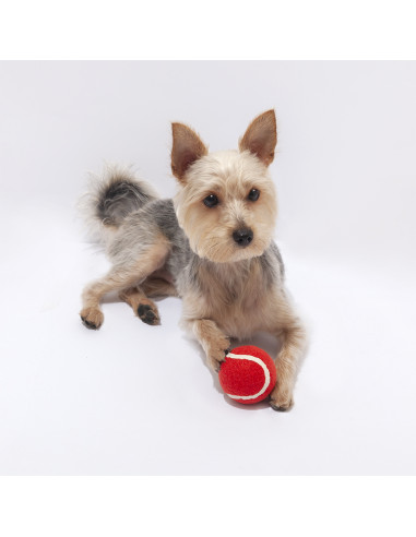 Pelota Niki