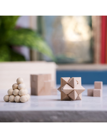 Set Juegos Habilidad Genium