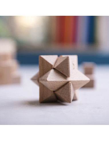 Set Juegos Habilidad Genium