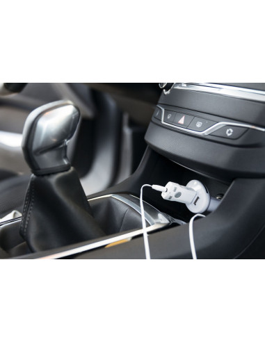 Receptor Bluetooth Domky