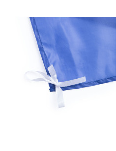 Bandera Dambor 2