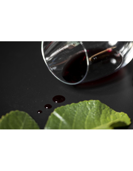 Set Vinos Bribal