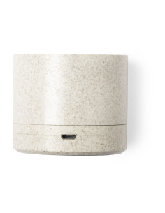 Altavoz Cayren 2