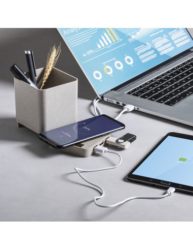 Lapicero Multifunción Dowex