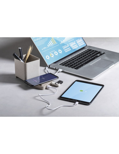 Lapicero Multifunción Dowex