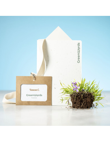 Identificador Semillas Binem