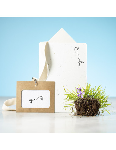 Identificador Semillas Binem