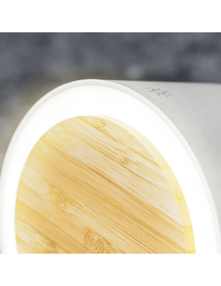 Lámpara Multifunción Sadow