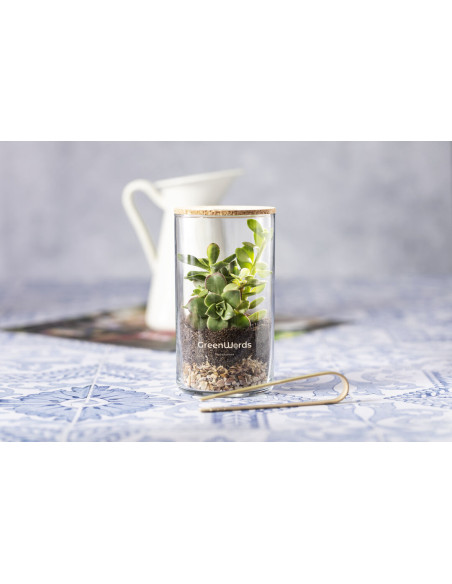 Terrarium Anymak
