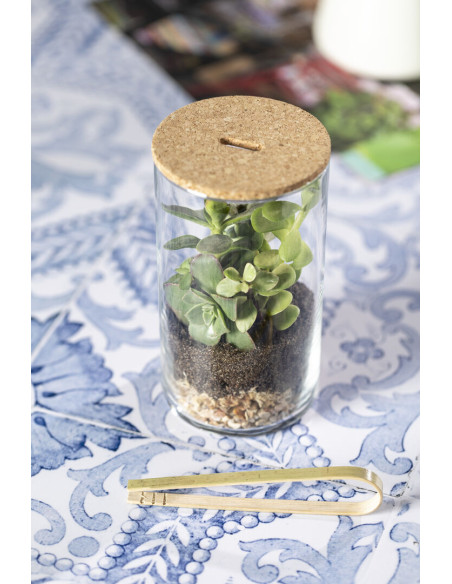 Terrarium Anymak