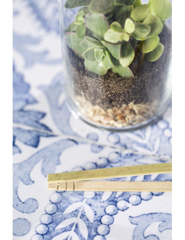 Terrarium Anymak