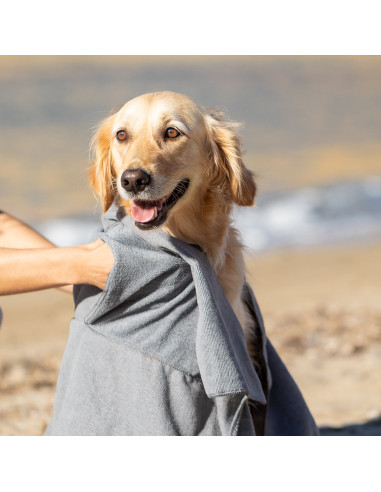 Toalla Mascotas Yelyn