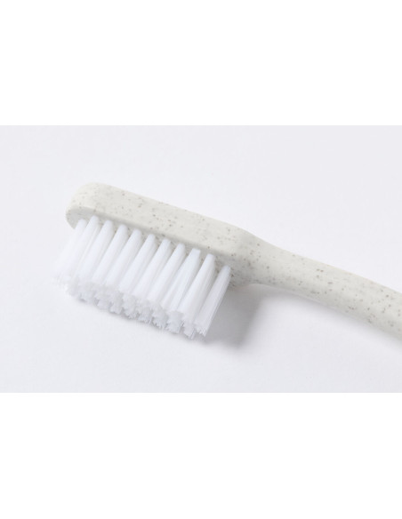 Cepillo Dientes Duncan