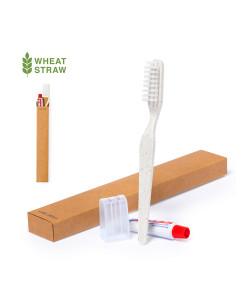Set Dental Kit 2
