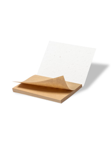 Bloc Notas Semillas Zomek