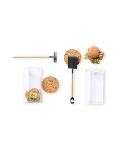 Bombón Semillas Winsu