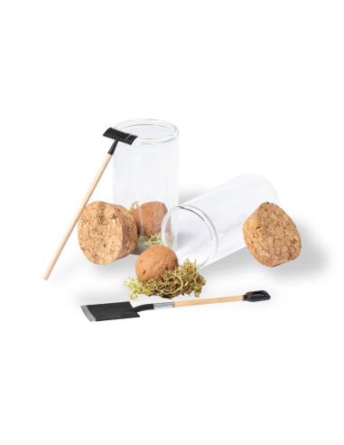 Bombón Semillas Winsu