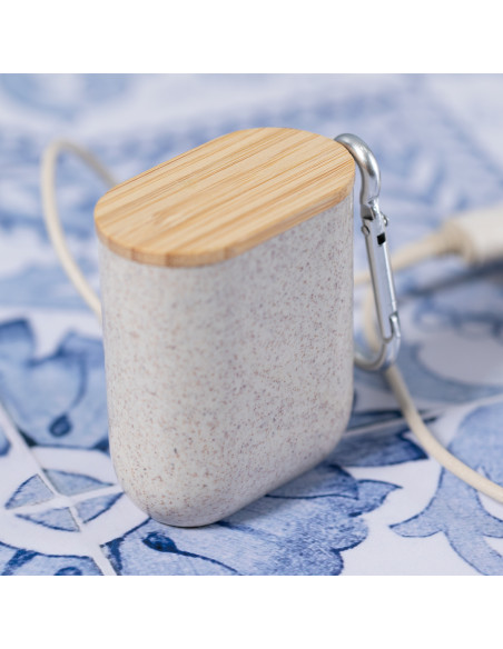 Cable Cargador Brayce