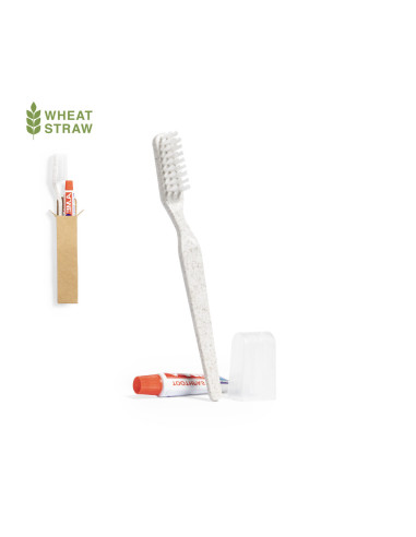 Set Dental Kit