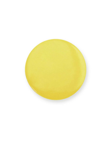 Pin Turmi