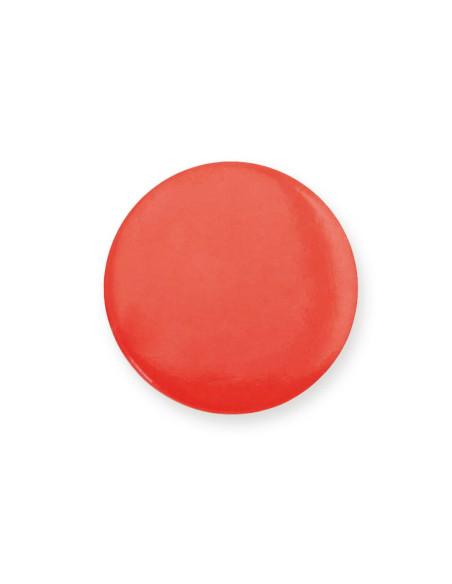 Pin Turmi