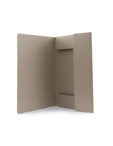 Carpeta Ecosum