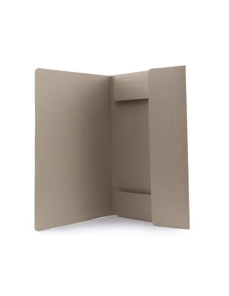Carpeta Ecosum