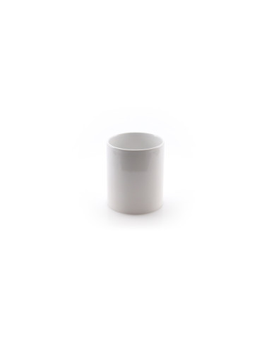 Taza Impex