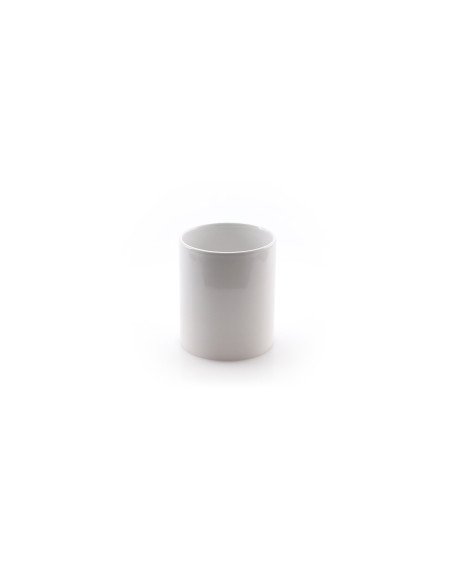 Taza Impex