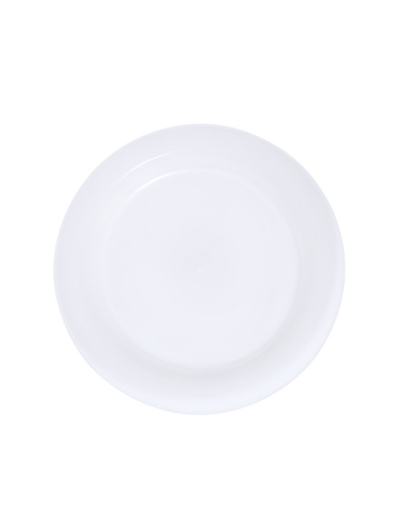 Plato Grisen