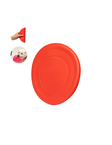 Frisbee Girud
