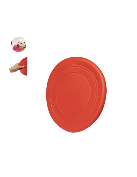 Frisbee Girud