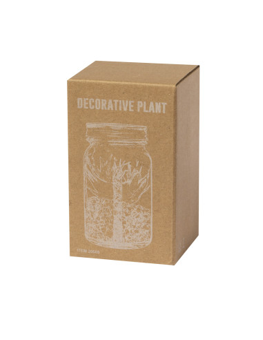 Planta Decorativa Kyala