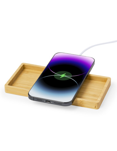 Cargador Organizador Treit