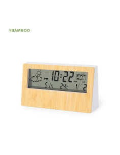 Estación Meteorológica Roamer 2