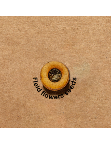 Portafolio personalizado ECO en cartón reciclado con semillas.