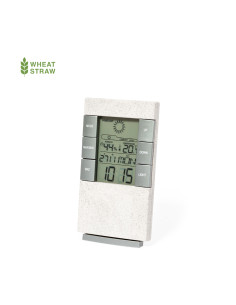 Estación Meteorológica Maginly 2