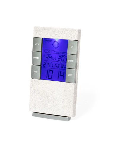 Estación Meteorológica Maginly