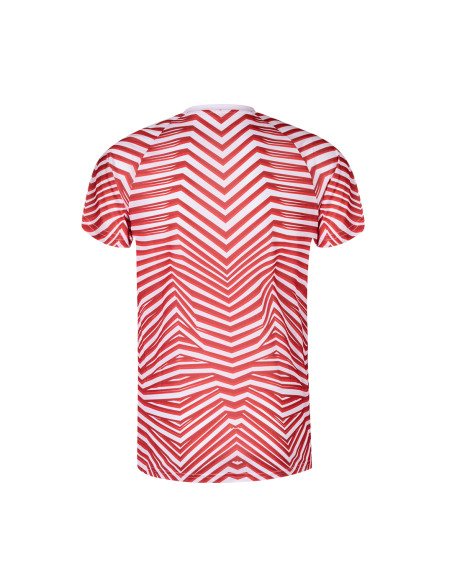 Camiseta Adulto Tecnic Tingyi