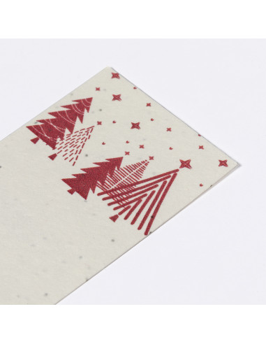 Marcapáginas Semillas Baird